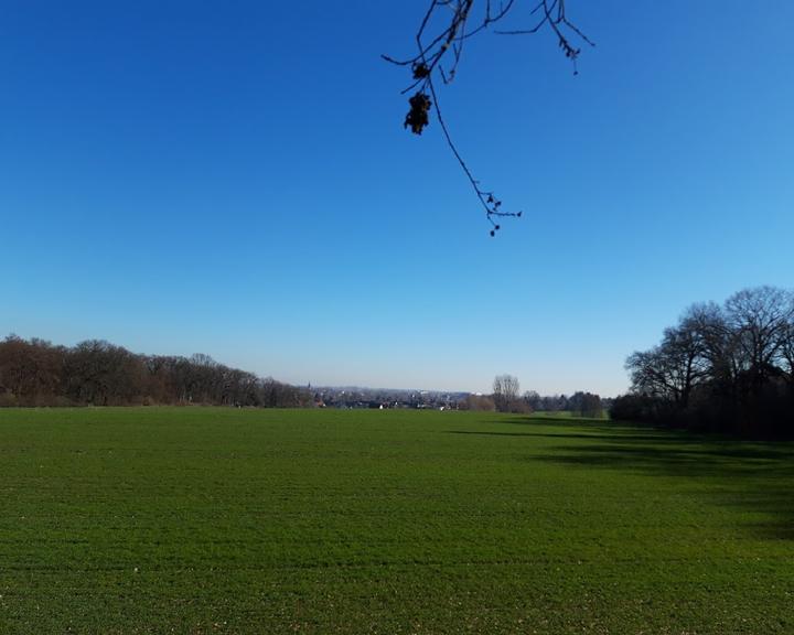 Gaststätte Waldhof Papenberg